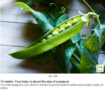 Picture of a peapod